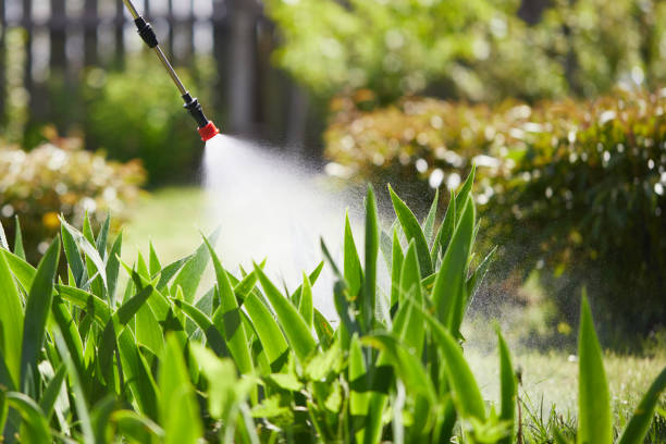 24/7 Emergency Cockroach Control experts in St. Clair, PA