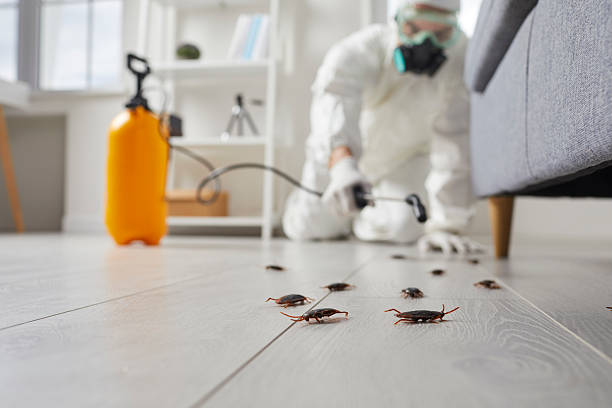Affordable Cockroach Control solutions in St. Clair, PA